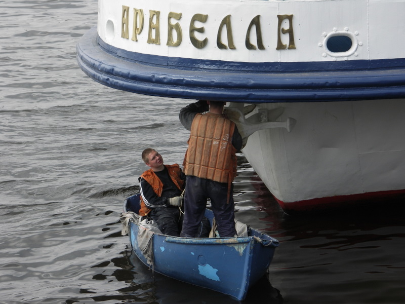 Арабелла
