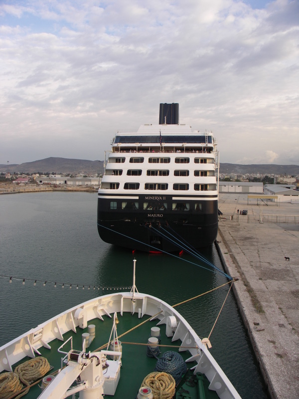 Minerva II
Swan Helenic
