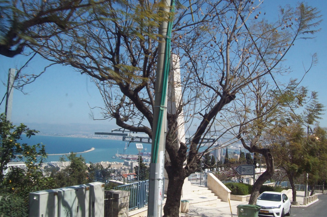 На подъёме на гору Кармель
Хайфа, 24.03.2015

