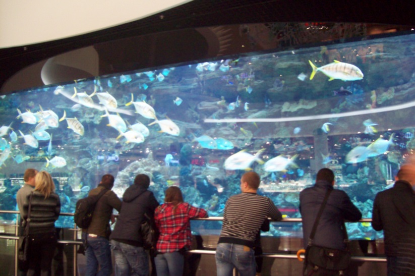 В торговом центре "Ocean Plaza", Киев, 24.10.2015

