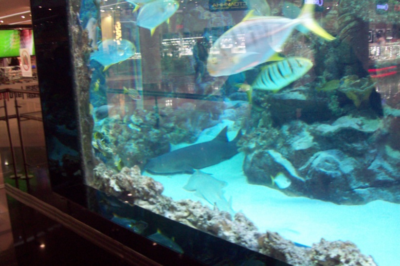 В торговом центре "Ocean Plaza", Киев, 24.10.2015

