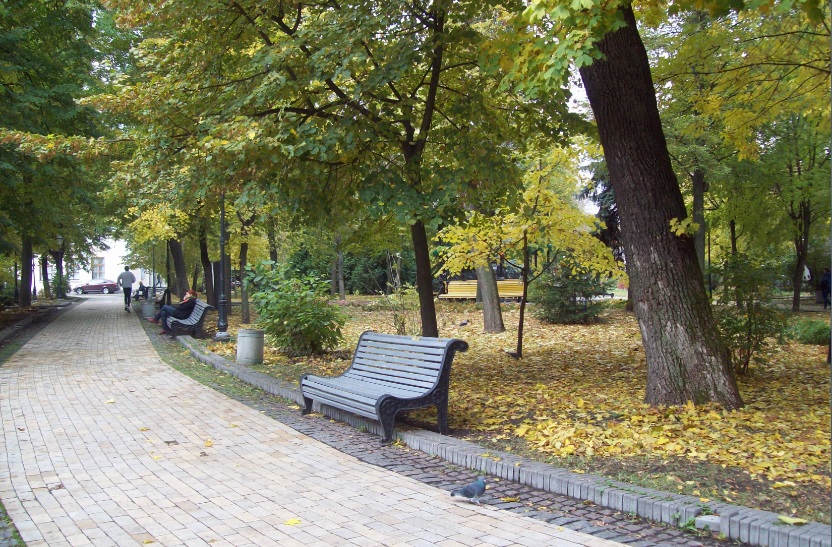 В Мариинском парке, Киев, 25.10.2015
