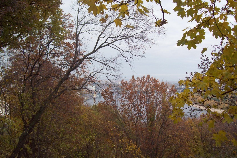 Вид из Мариинского парка, Киев, 25.10.2015
