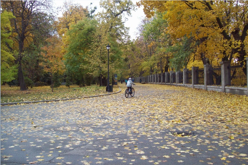 В Мариинском парке, Киев, 25.10.2015
