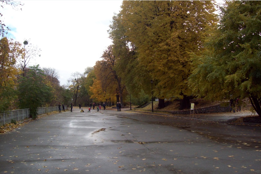 В Мариинском парке, Киев, 25.10.2015
