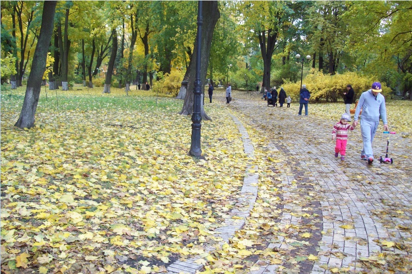 В Мариинском парке, Киев, 25.10.2015
