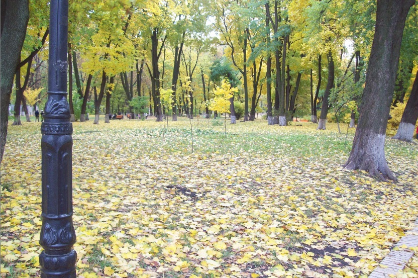 В Мариинском парке, Киев, 25.10.2015

