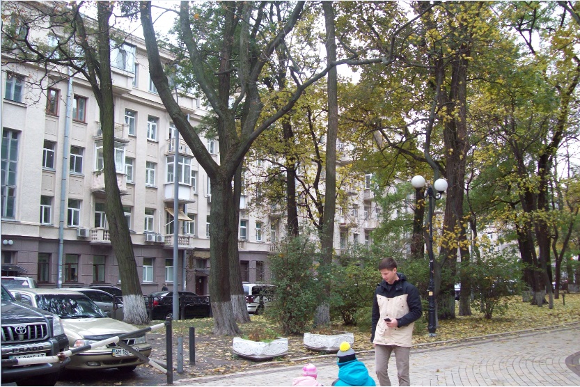 В Мариинском парке, Киев, 25.10.2015
