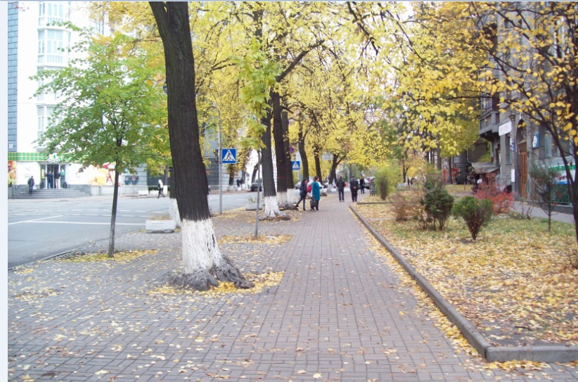 Киев, 25.10.2015. В центре города
