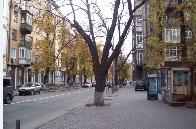 Киев, 25.10.2015. В центре города
