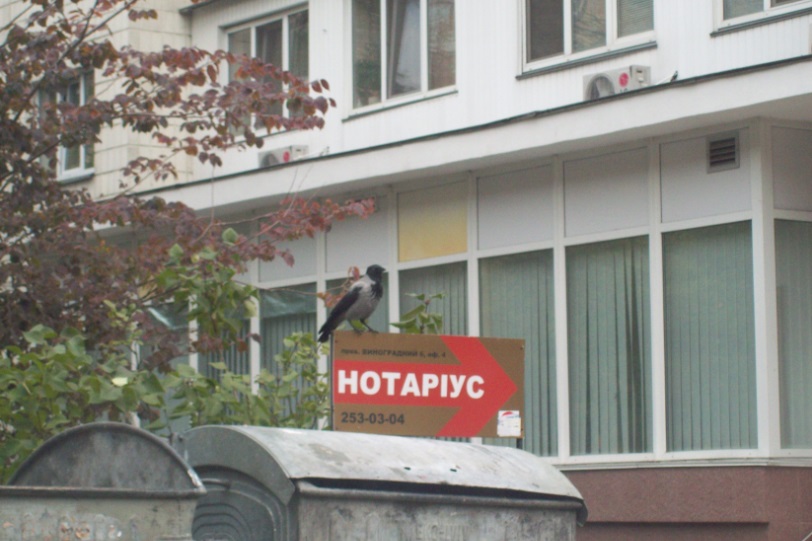 Киев, 25.10.2015. В центре города
