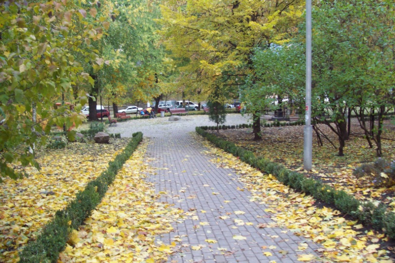 Киев, 26.10.2015. В центре города

