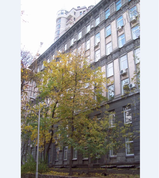 Киев, 26.10.2015. В центре города
