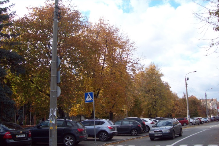Поряд з Контрактовою площею, Київ, 26.10.2015
