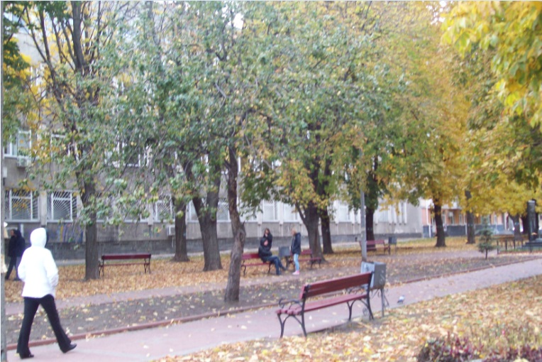 Поряд з Контрактовою площею, Київ, 26.10.2015
