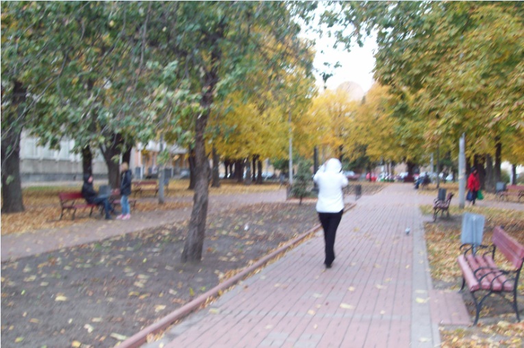 Поряд з Контрактовою площею, Київ, 26.10.2015
