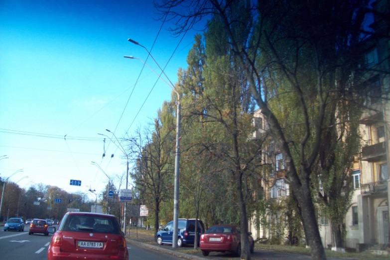 Между площадью Победы и аэропортом "Киев" ("Жуляны")
Киев, 27.10.2015
