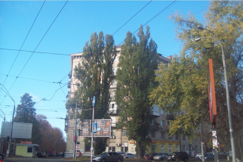 Между площадью Победы и аэропортом "Киев" ("Жуляны")
Киев, 27.10.2015
