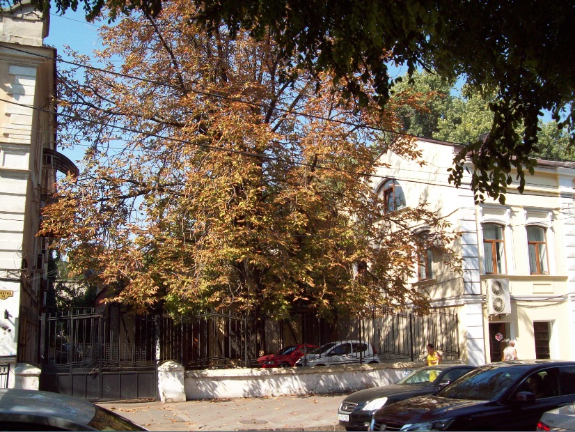 В центральной части города
Одесса, 08.09.2016
