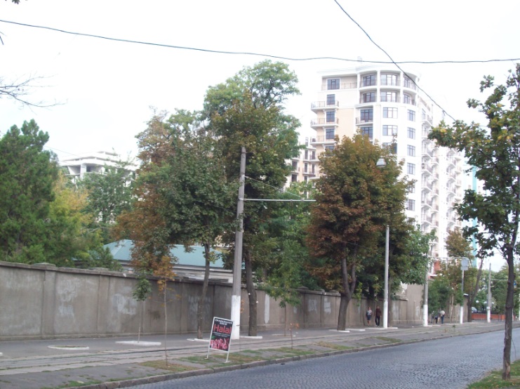 На Французькому бульварі. Отрада
У центральній частині міста, Одеса, 10.09.2017
