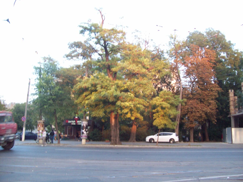 На ул. Белинского. В центральной части города. Одесса, вечером, 13.09.2017
