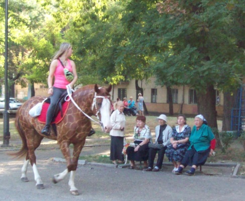 У Прохоровському сквері
Центральная часть города. Одесса, 17.09.2017
