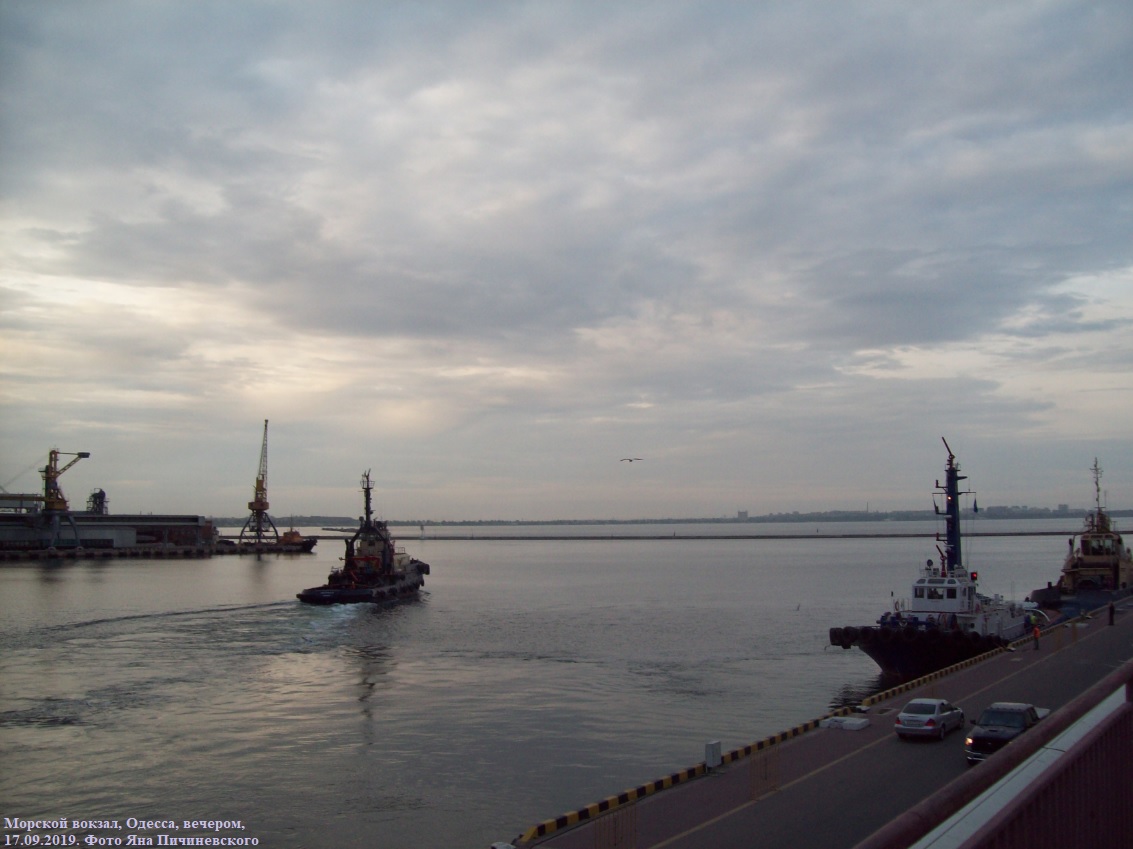 Буксир "Австралія" отошёл от причала Морского вокзала
На фото слева вдали - буксир "Новатор", справа вблизи - буксиры "Alexandria" (ближе) и "Львів" (дальше)
Морской вокзал, Одесса, вечером,
17.09.2019. Фото Яна Пичиневского
