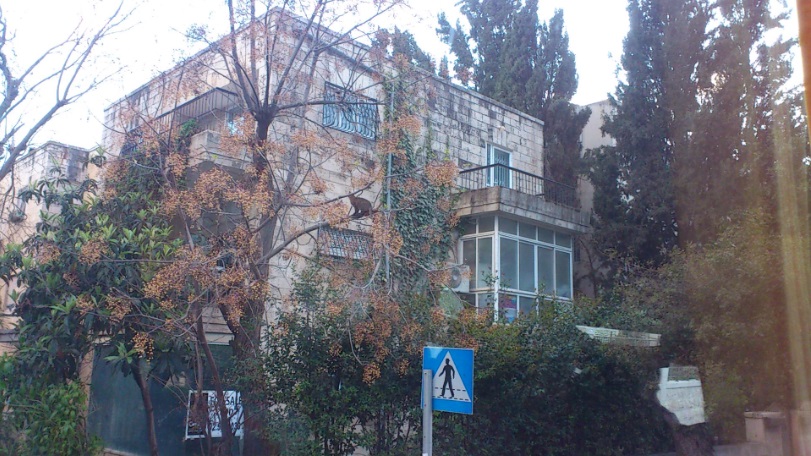 Иерусалим, 22.03.2015. В центре города
