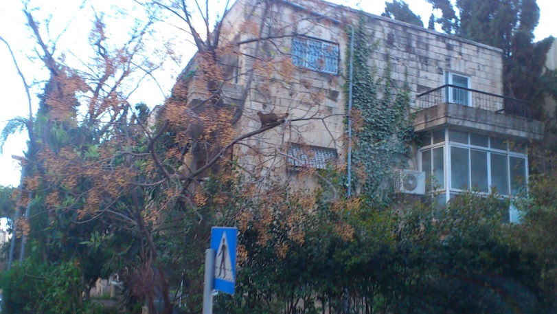 Иерусалим, 22.03.2015. В центре города
