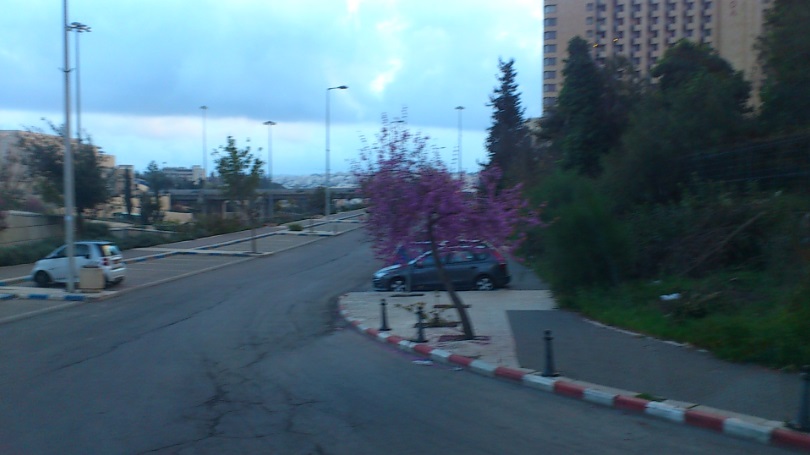 Иерусалим, 22.03.2015. В центре города
