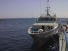 050920081584.jpg