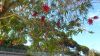 DSC_1981.jpg