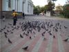 Foto_101_9714.jpg