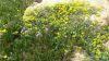 Foto_DSC_1731.jpg