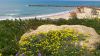 Foto_DSC_1732.jpg