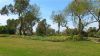 Foto_DSC_1766.jpg
