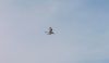 Foto_DSC_1824A.jpg