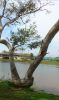 Foto_DSC_1828.jpg