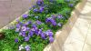 Foto_DSC_1870.jpg