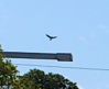 Foto_DSC_1963AA.jpg