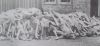 Foto_Dachau145.jpg