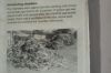 Foto_Dachau165.jpg