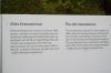 Foto_Dachau185.jpg