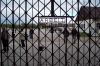 Foto_Dachau219.jpg