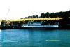 Kater_Grigorievka_Foto_Odessa_vecherom14081996_A.jpg