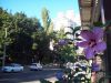 foto_101_9267.jpg